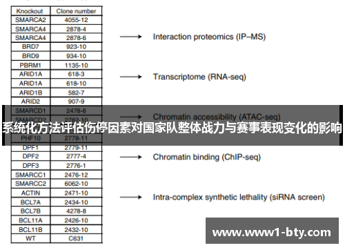 系统化方法评估伤停因素对国家队整体战力与赛事表现变化的影响